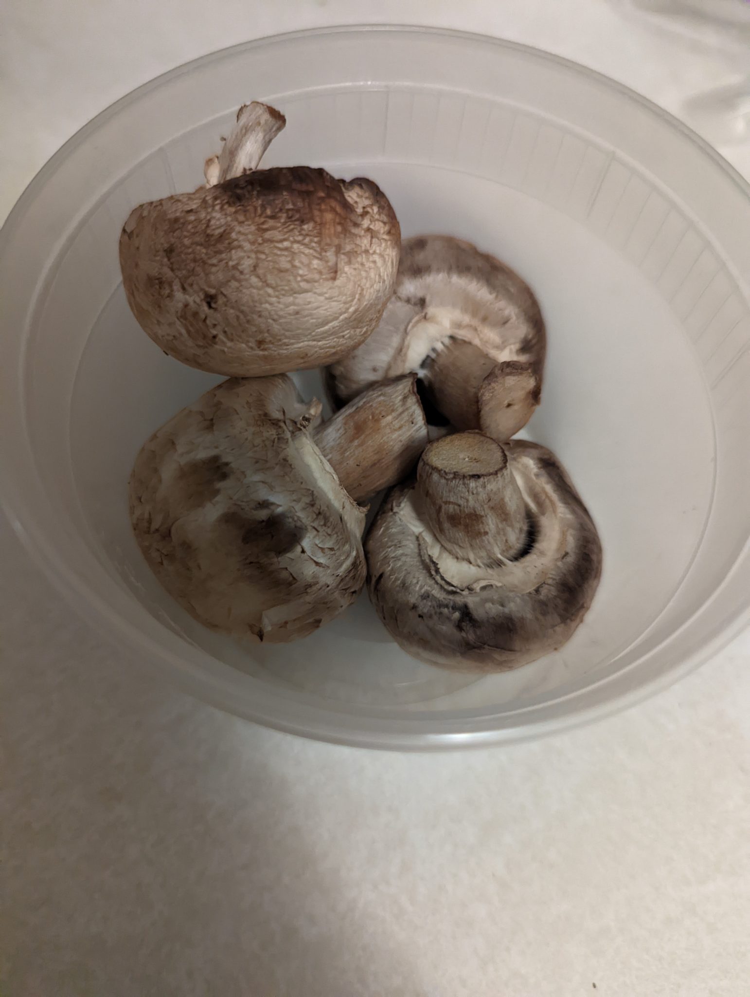 Four mushrooms in a plastic container