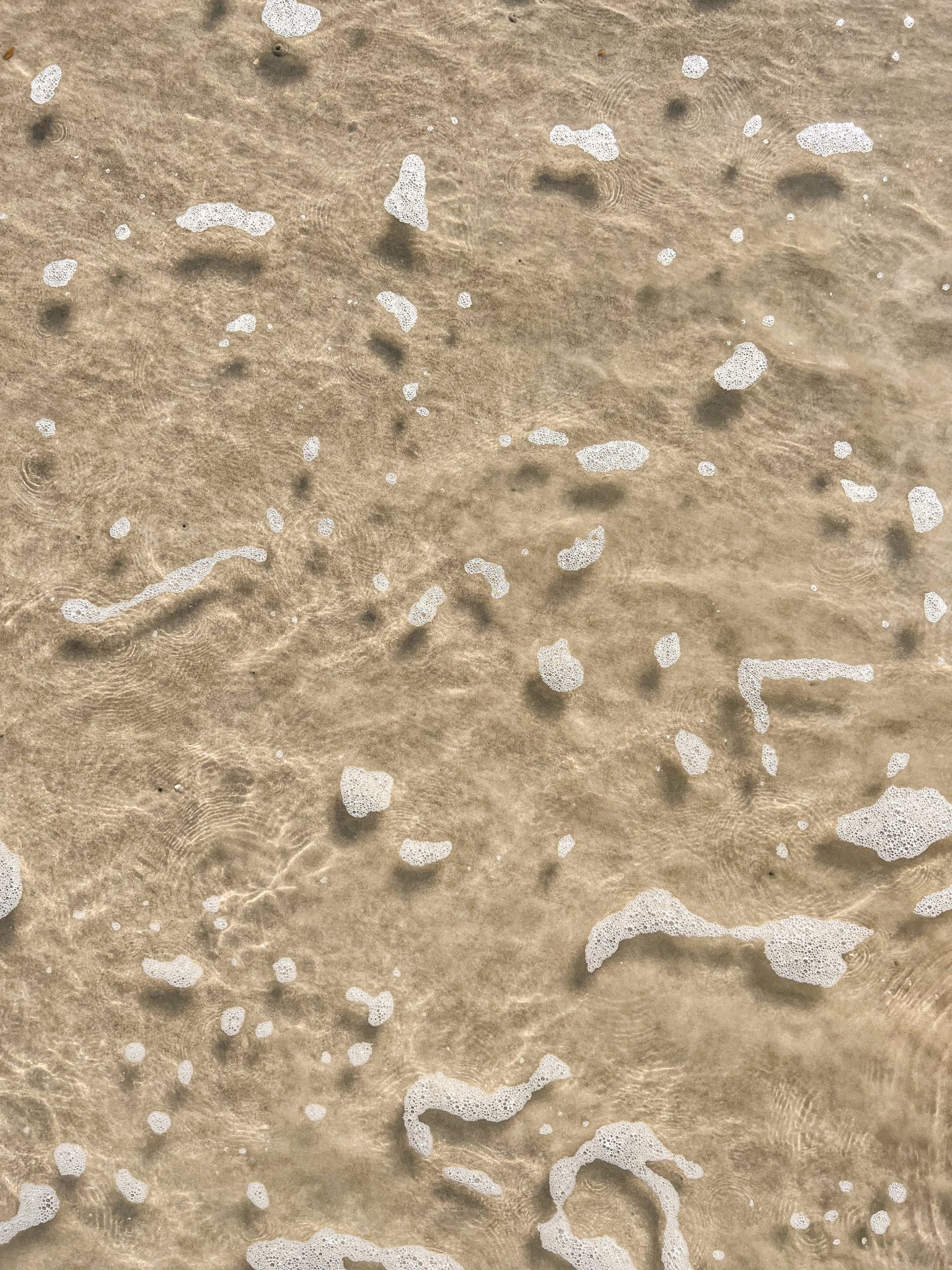 Foam groups from a shallow wave at the beach