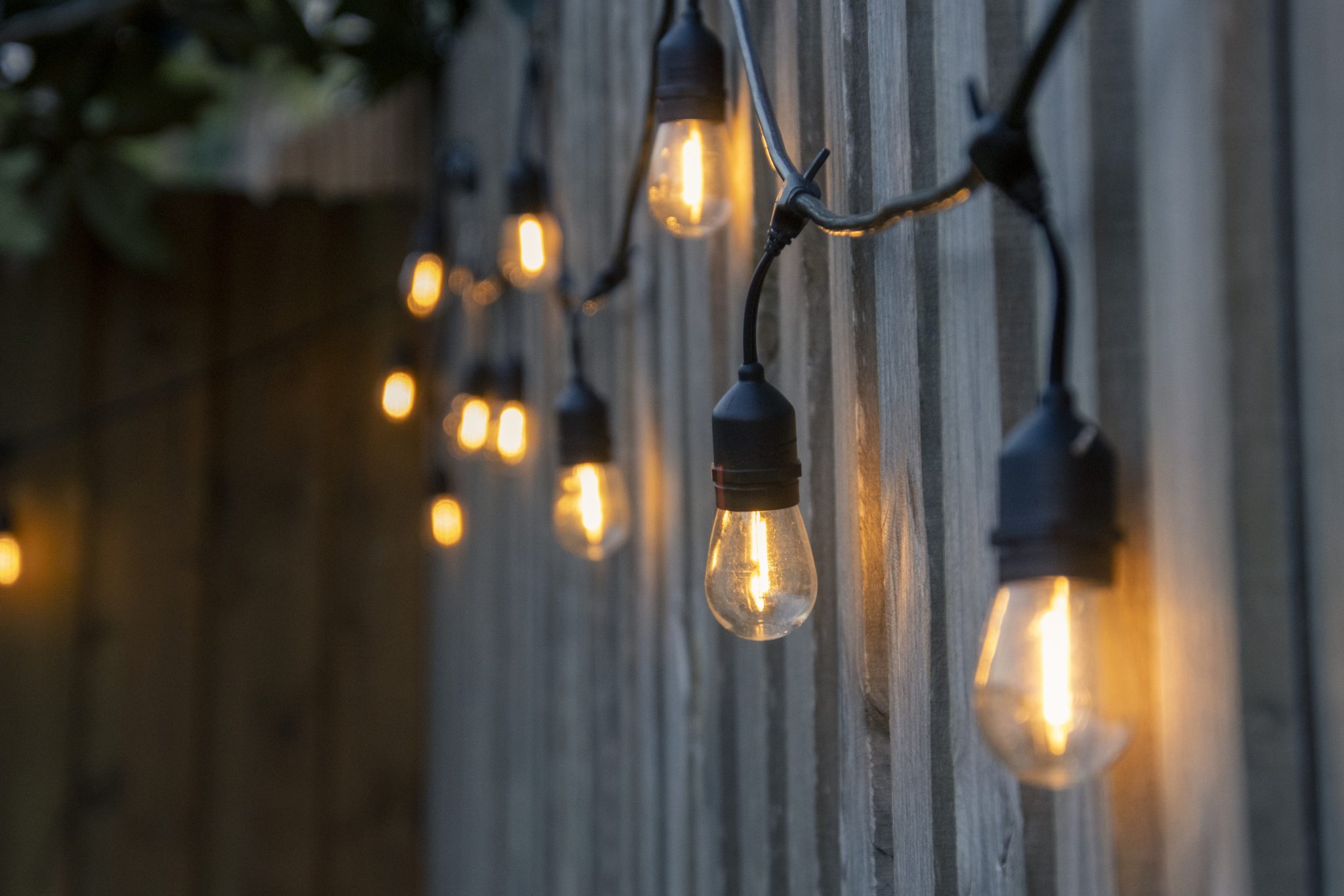 String of Edison bulbs along a wooden fence