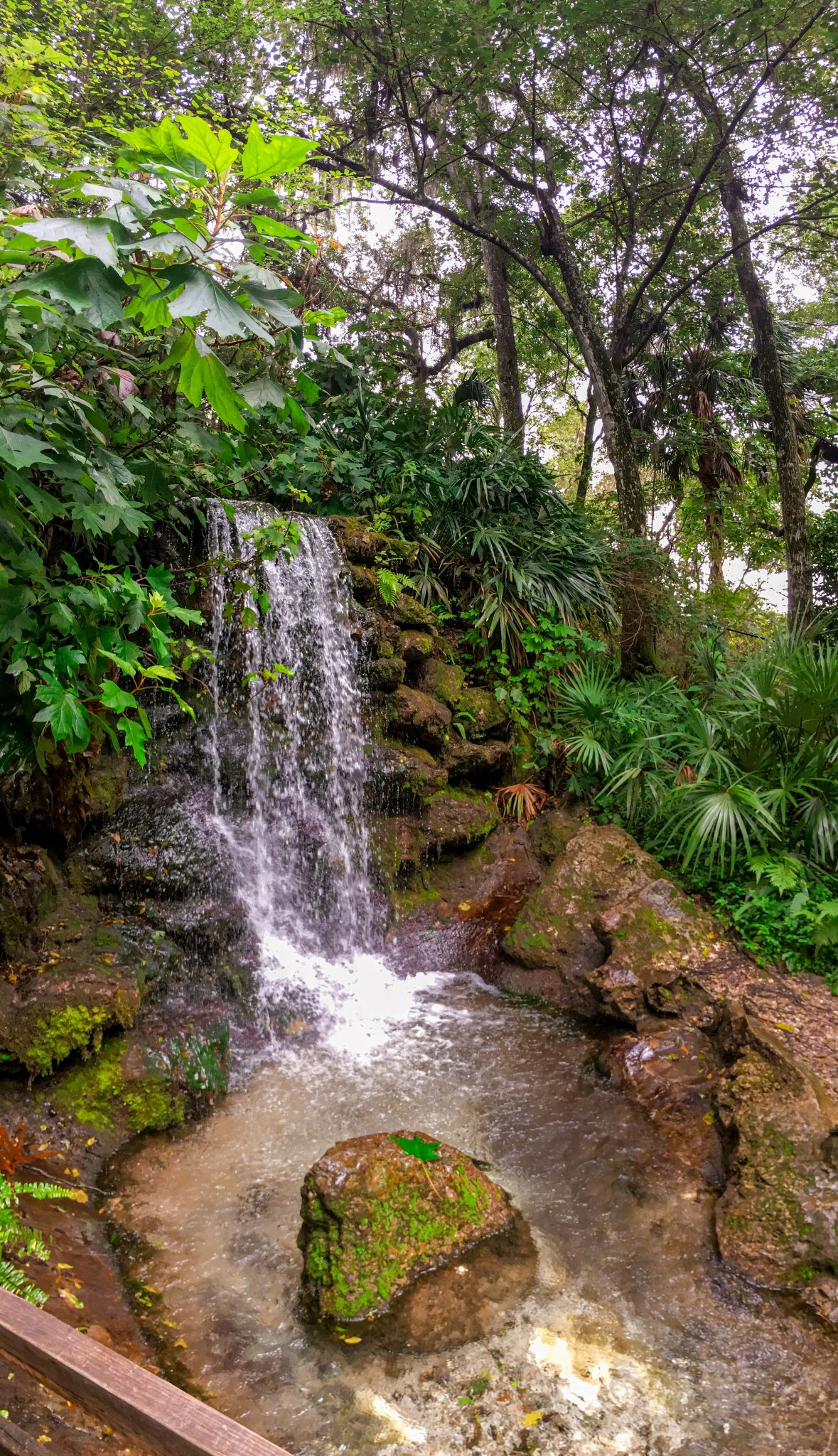 Small waterfall at Rainbow Springs park in Florida