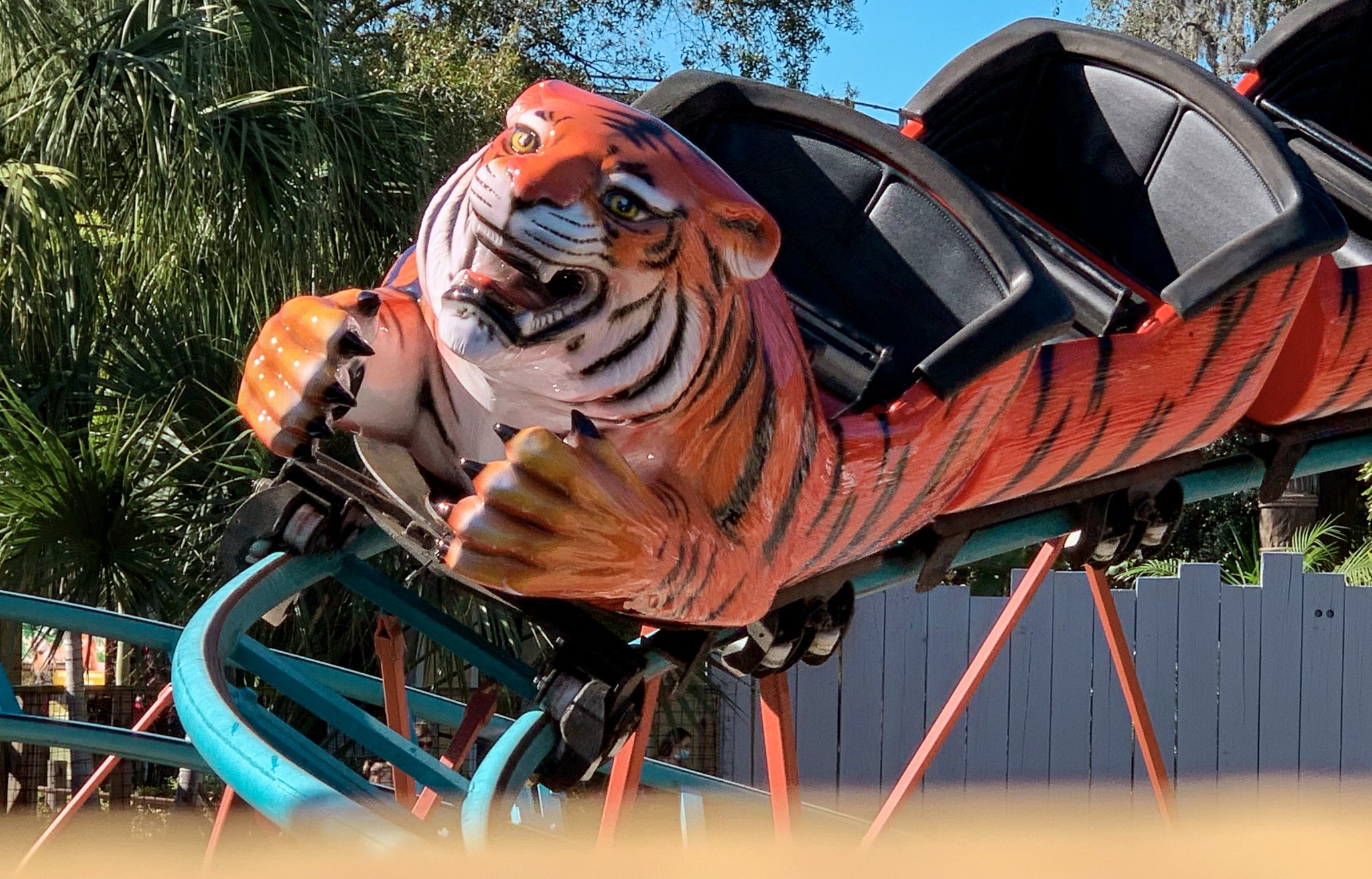 Tiger roller coaster