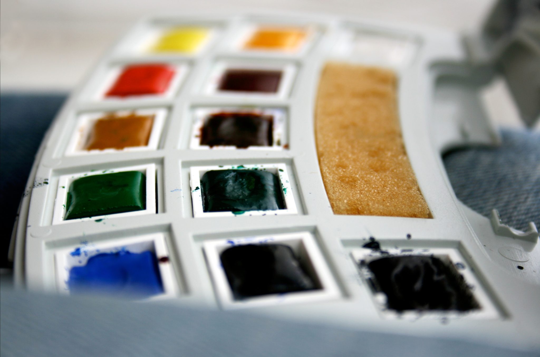 Watercolor palette close-up