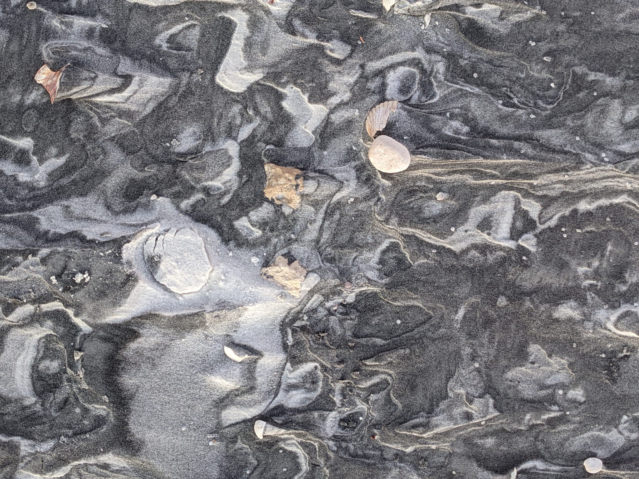Sand on the beach, windblown, marbled and strewn with shells and pebbles.