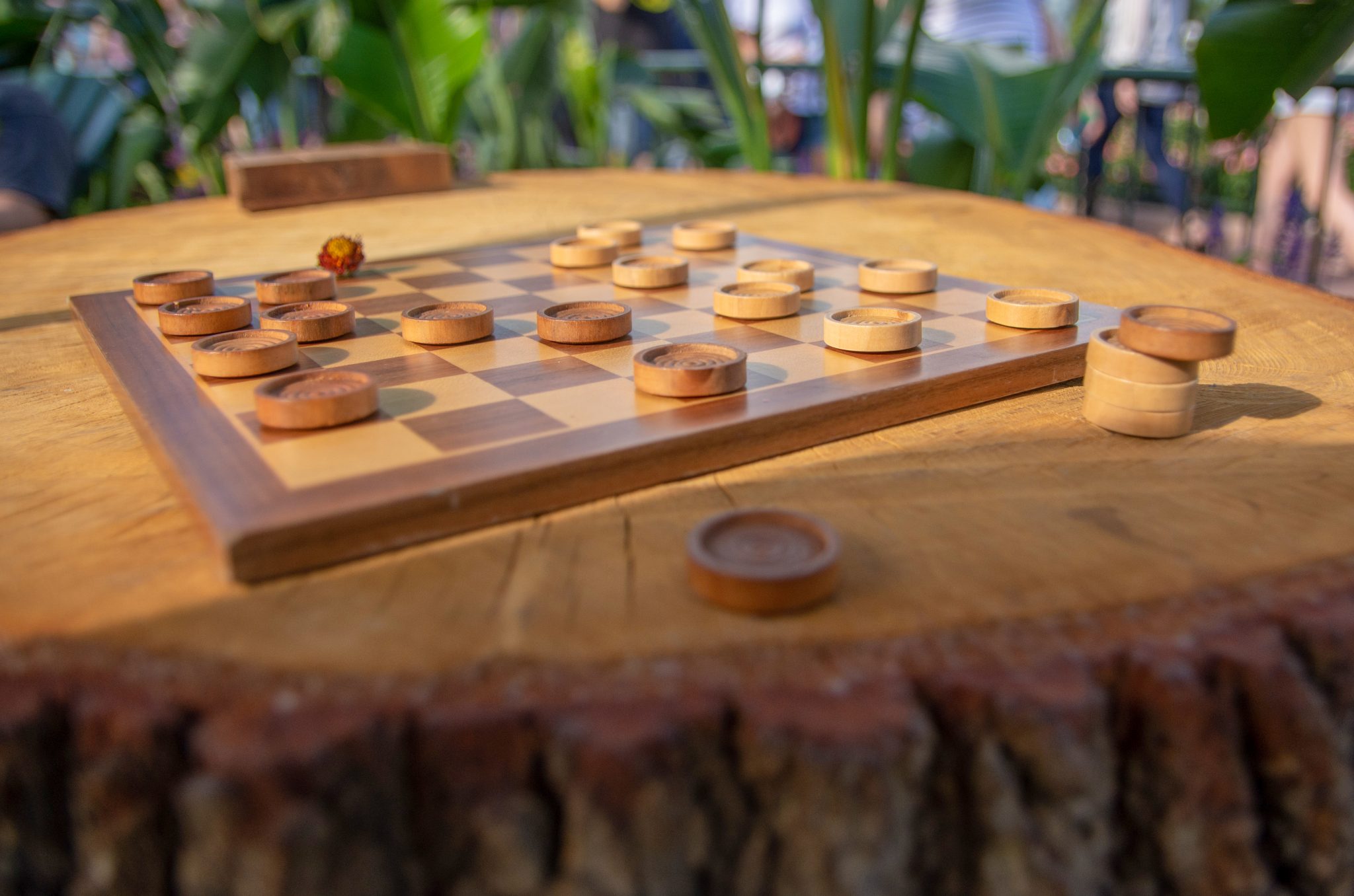 Wooden checkers on a tree stump