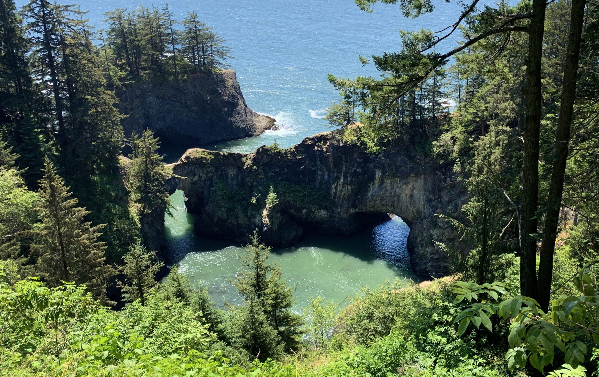 Oregon Pacific Coast Sea Arches At Natural Bridges Viewpoint