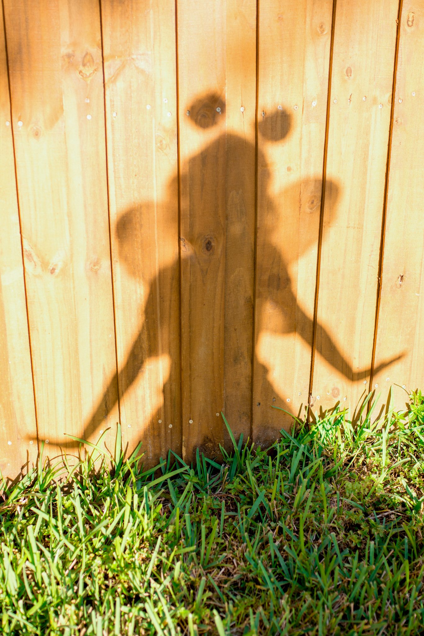 Shadow of a girl dressed as a fairy on a fence