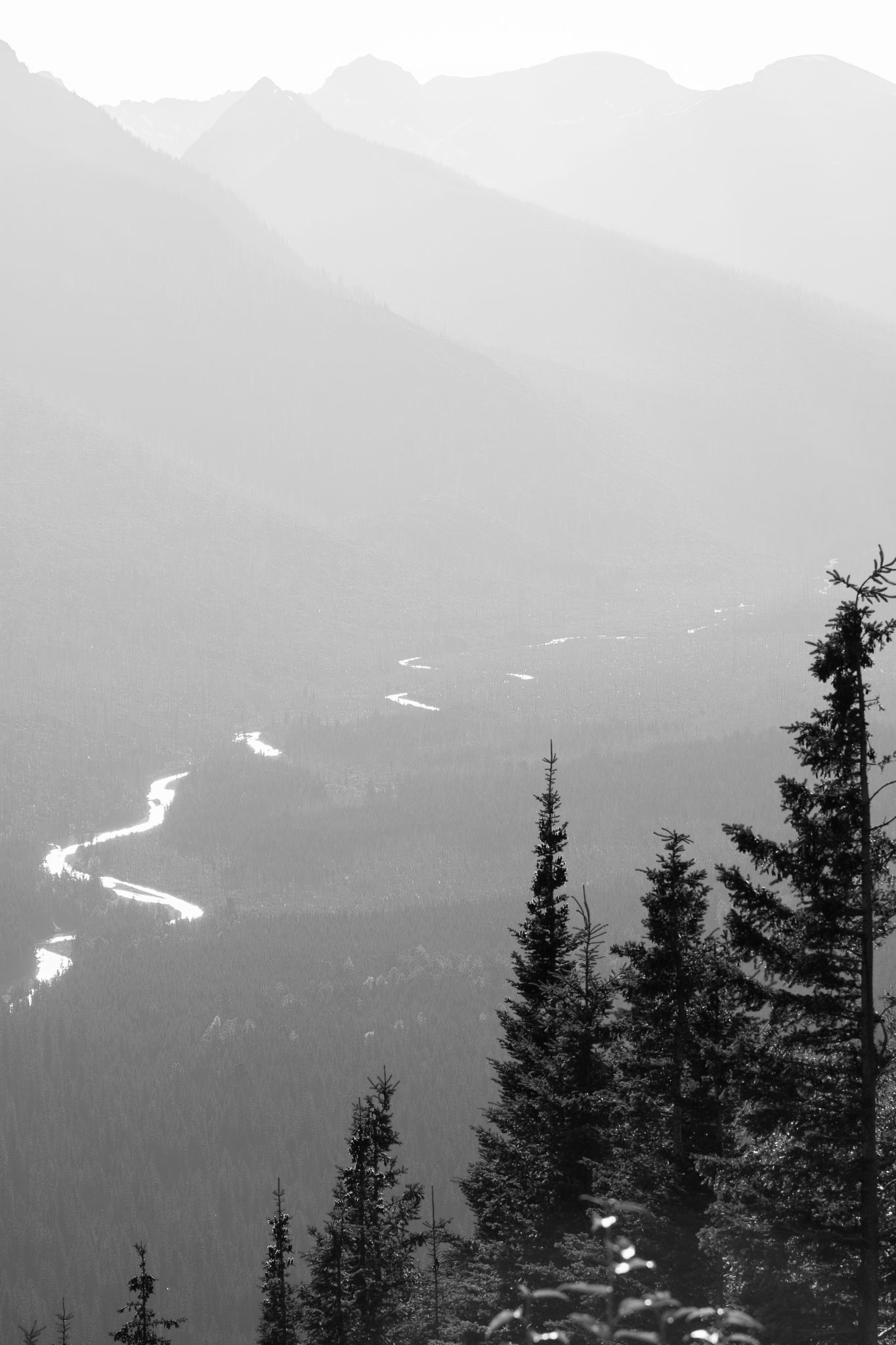 McDonald Creek in black and white, Glacier National Park