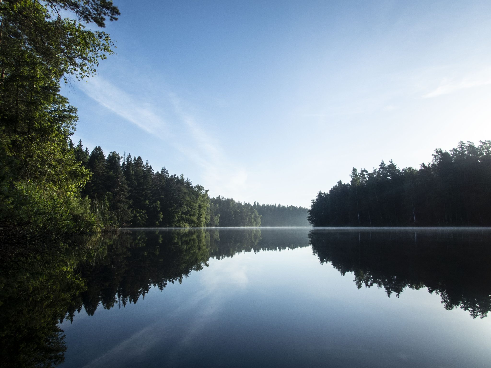 Finnish calm lake and forest.