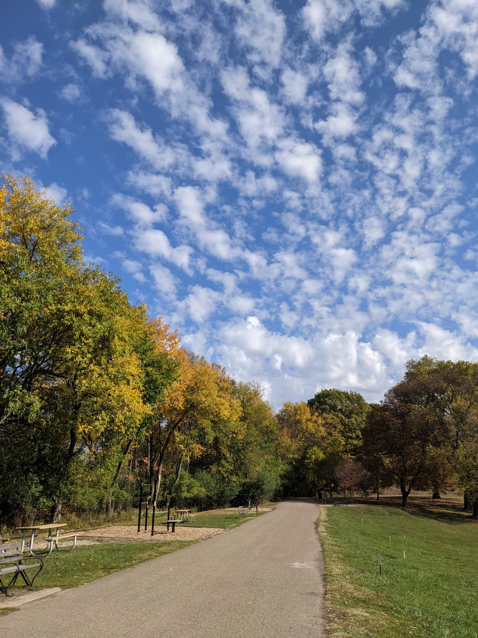 Very blue sky, with some clouds over green area in Pittsburgh's Frick Park