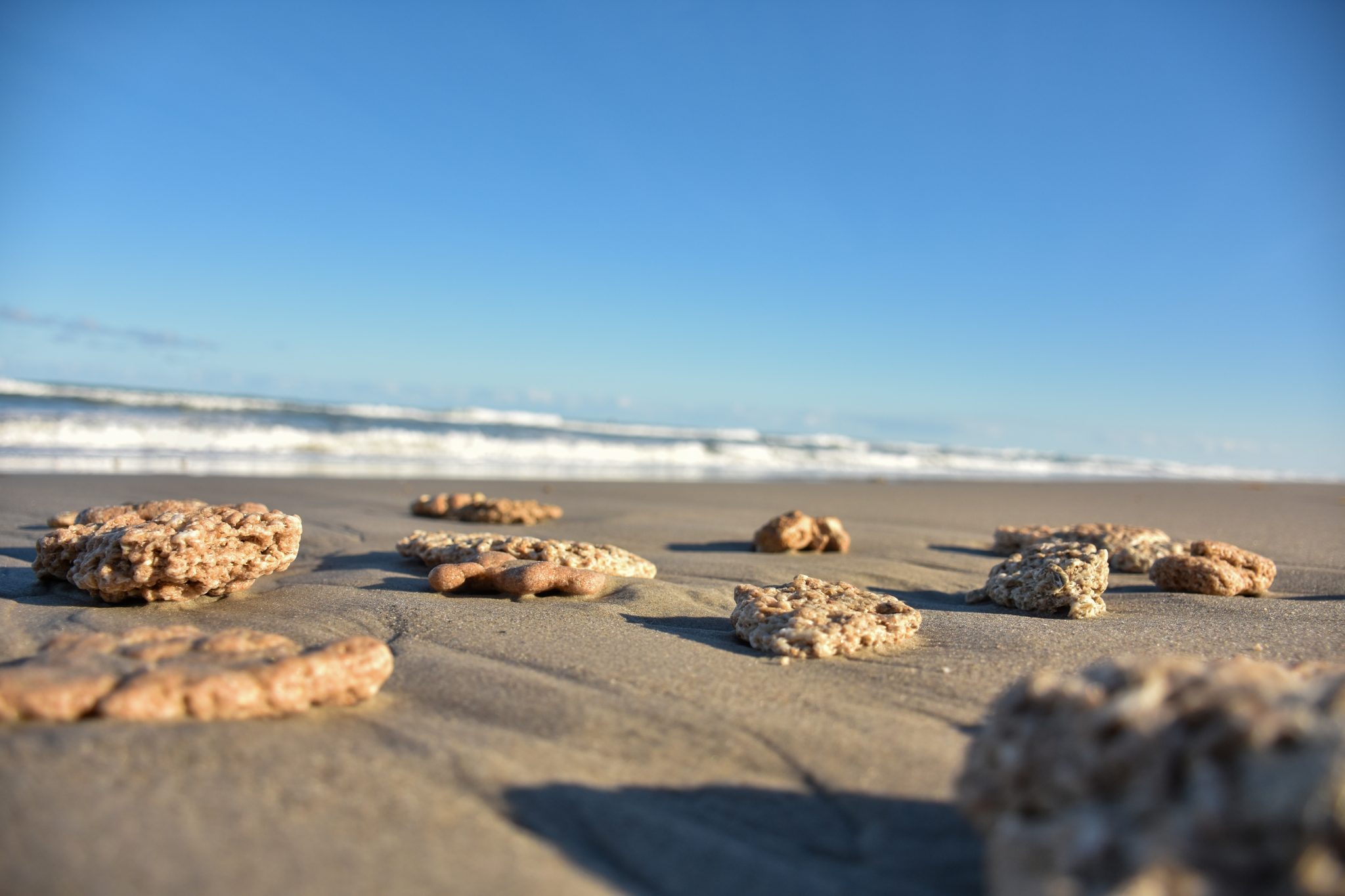 Close-up of coquina stones on the beach