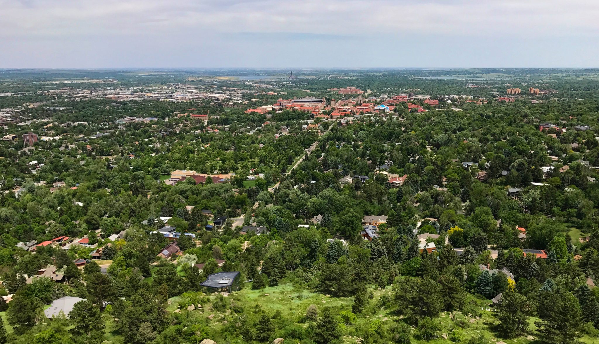 Treetop View Of Boulder, Colorado
