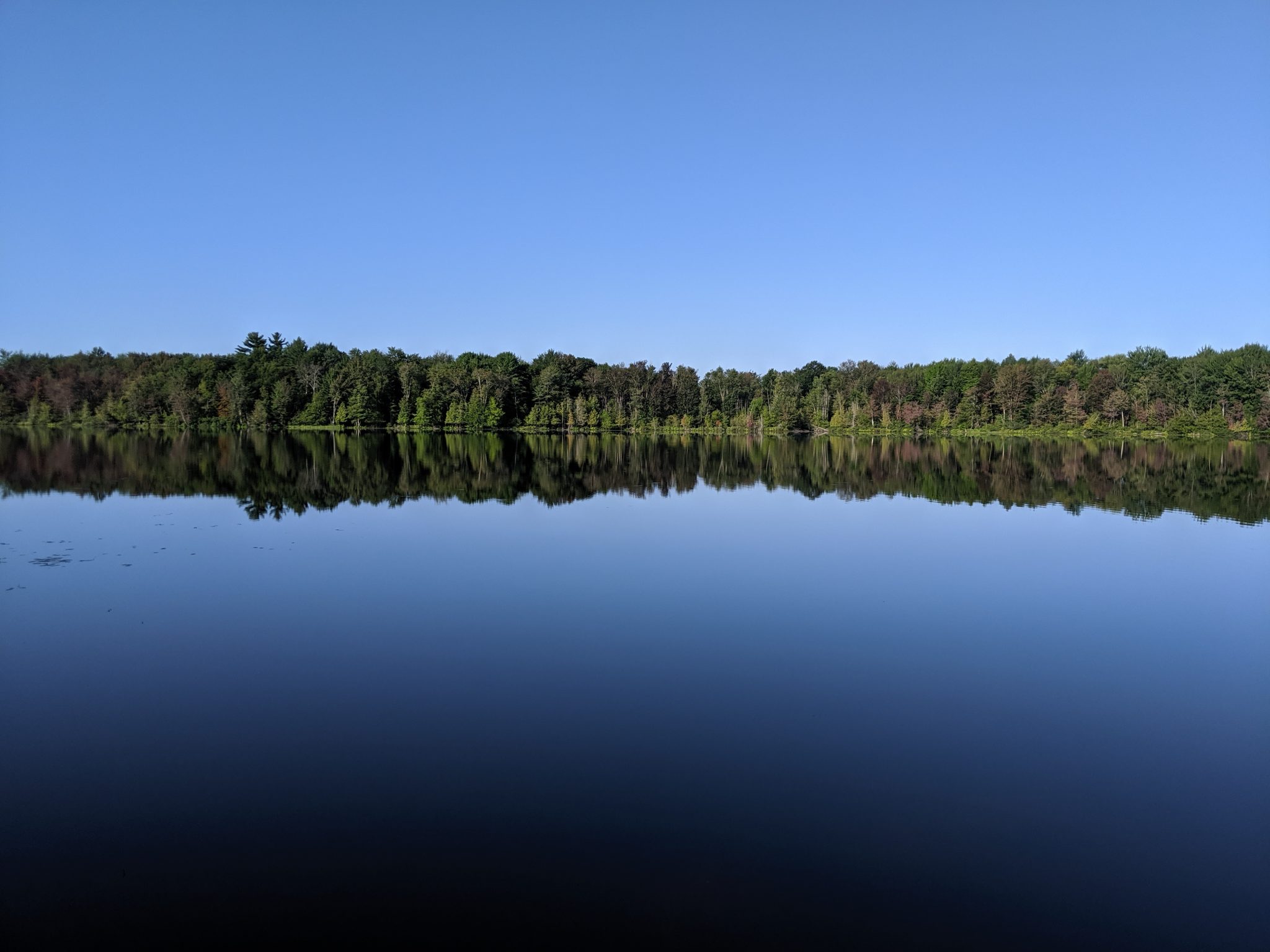 Sky and forest mirrored in a lake
