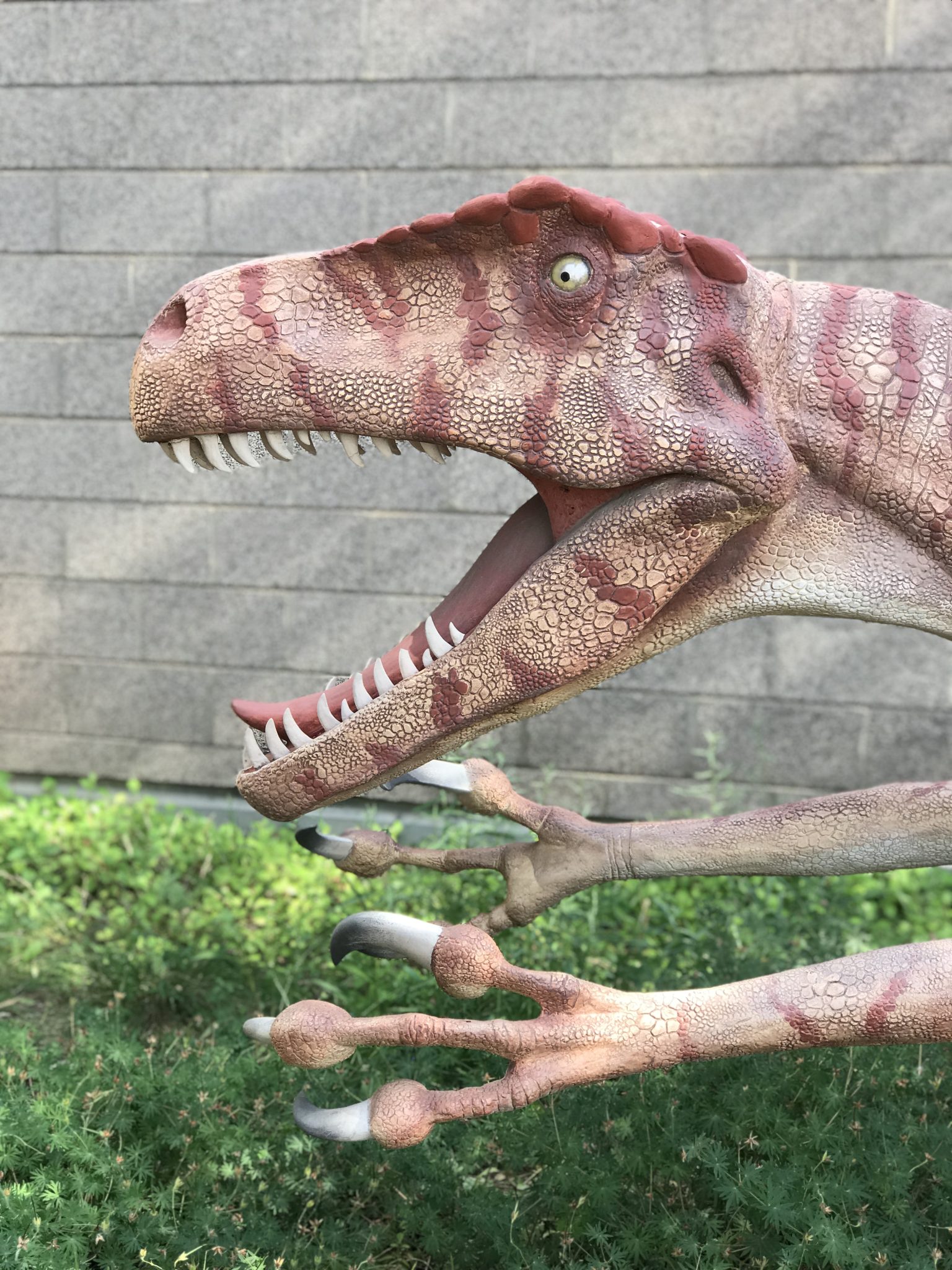 Dinosaur In Vernal, Utah