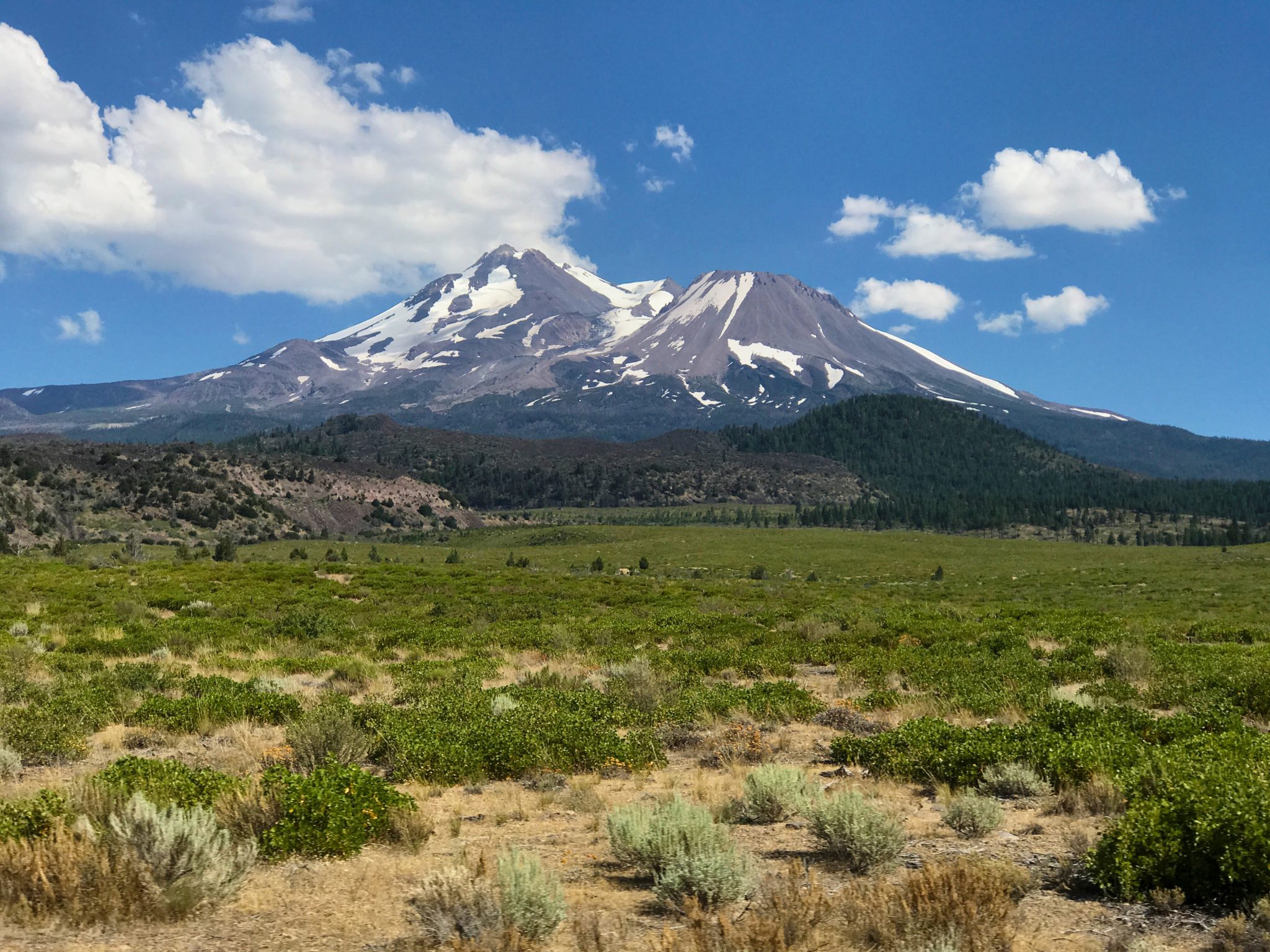Green Fields In Front Of Mount Shasta, California