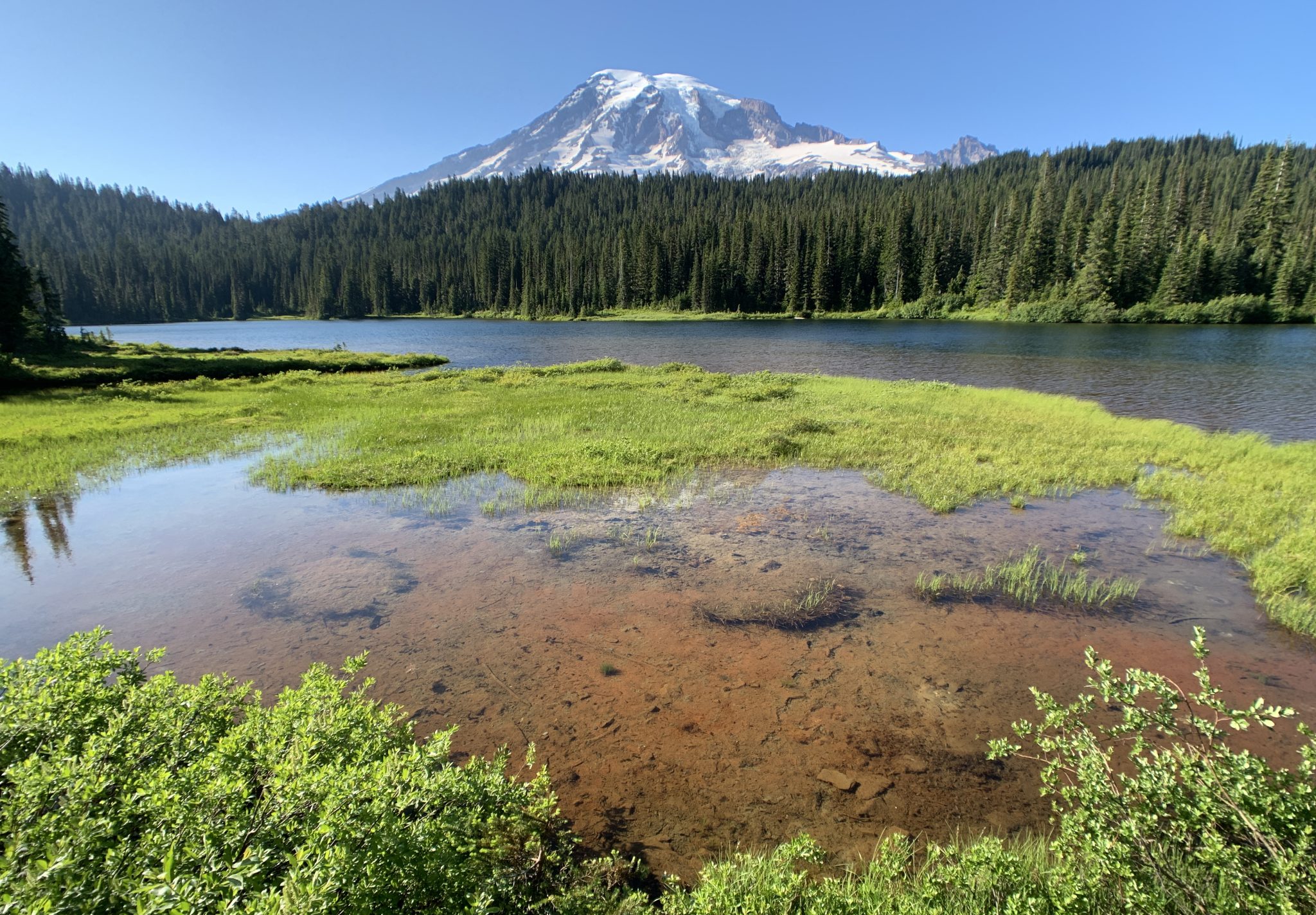 Meadow and Ponds With Mount Rainier In The Background