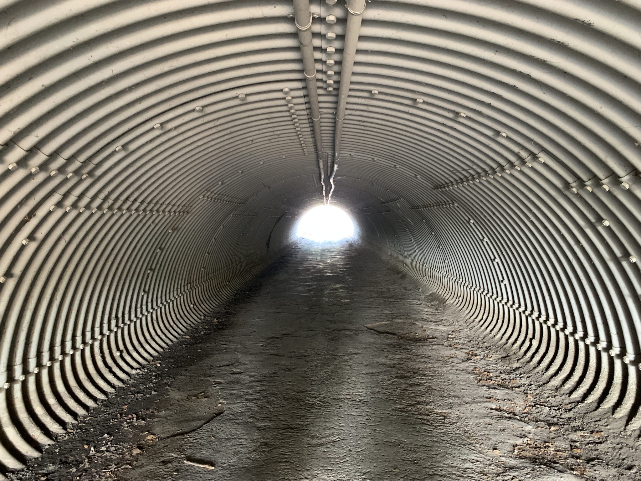 Concrete Path Through A Metal Tunnel