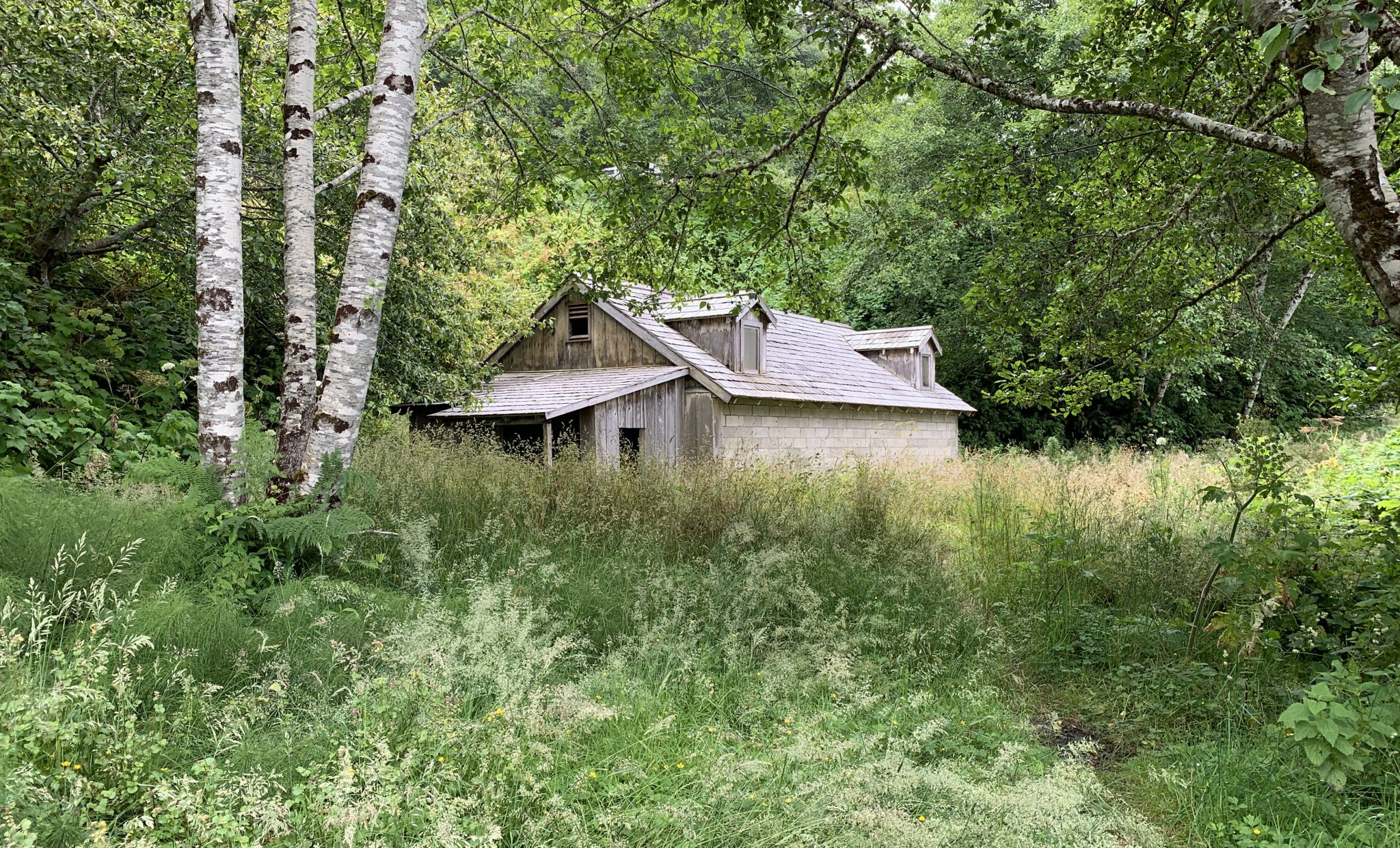Abandoned Military Building In Tall Grass