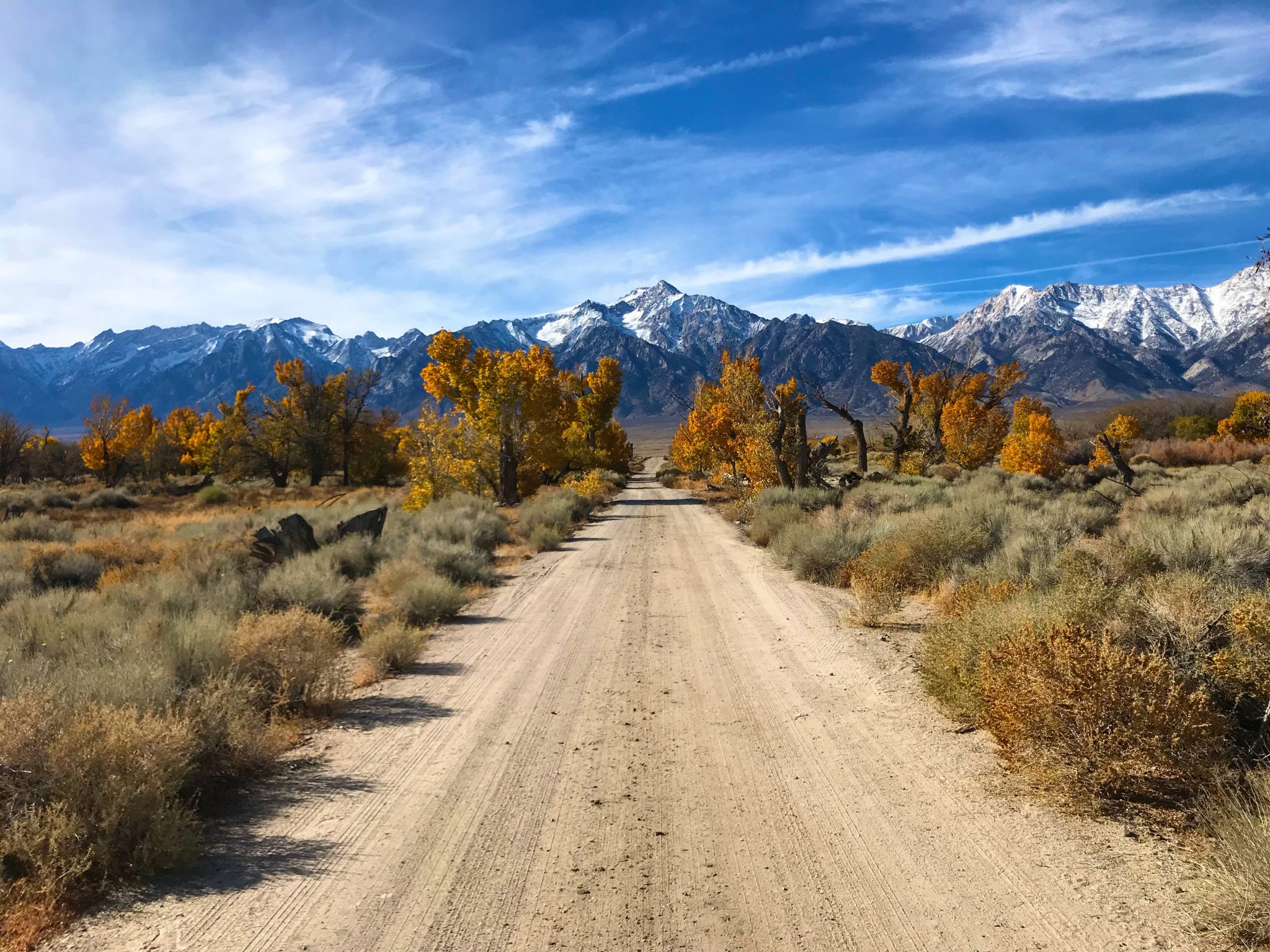 Colorful Autumn Trees And Dirt Road With Snow Capped Mountains