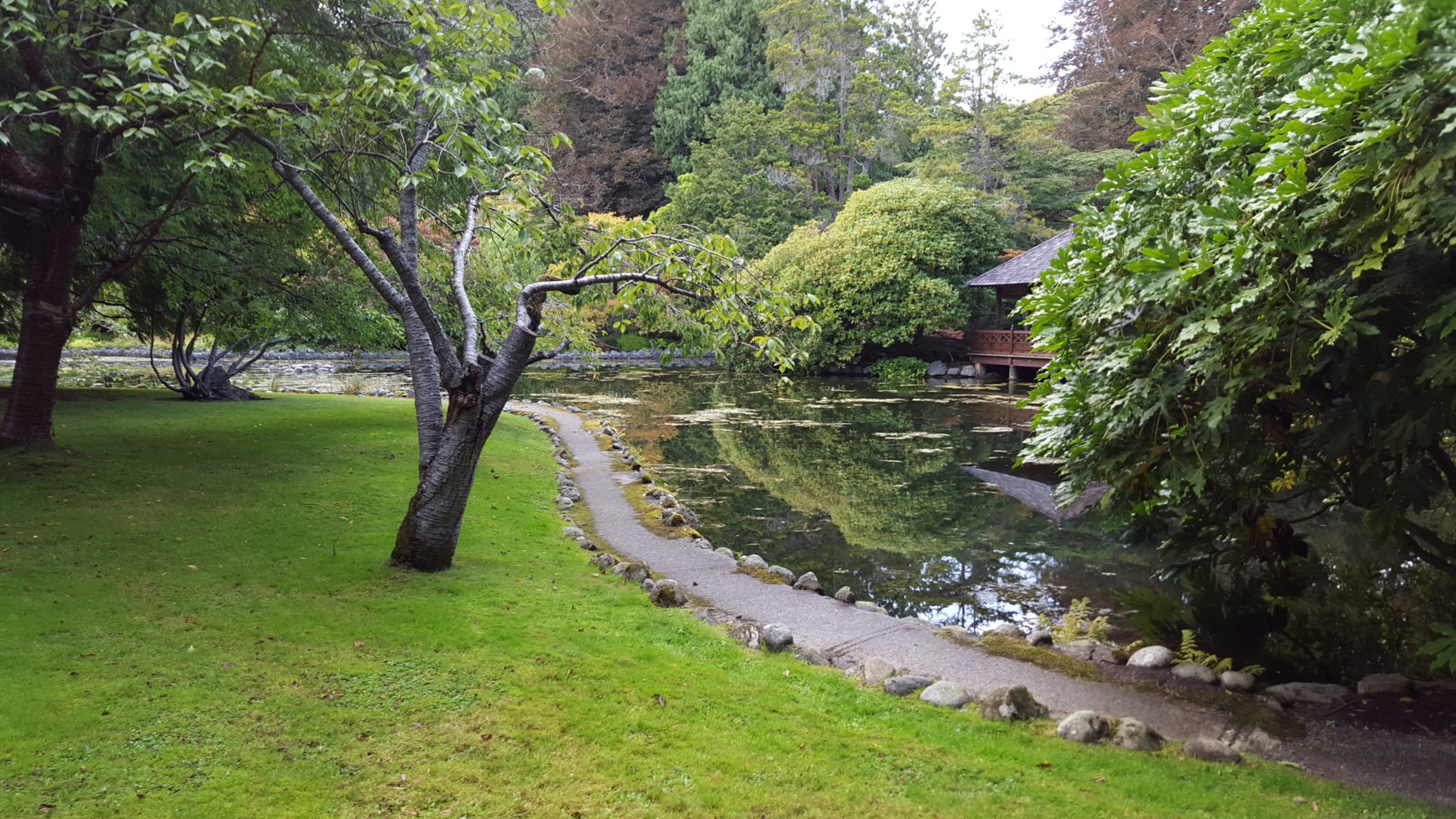 Walking trail by a pond at Royal Roads University