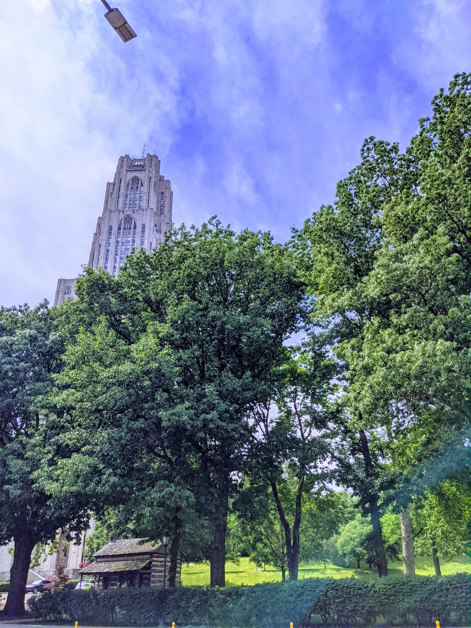 A tall gothic-style building, University of Pittsburgh's Cathedral of learning, partially obscured by trees.