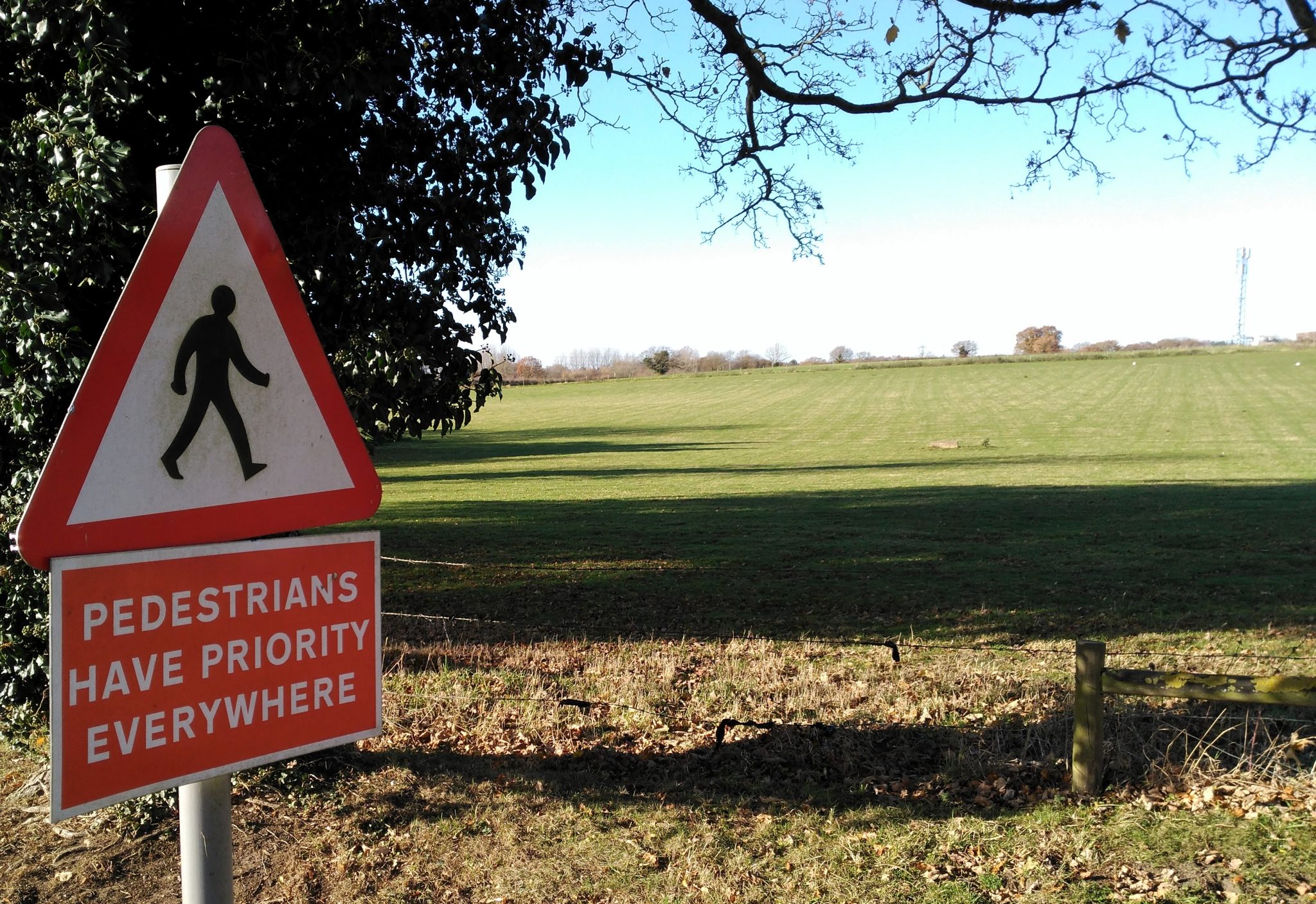 A sign saying "Pedestrians Have Priority Everywhere" near a grassy field.