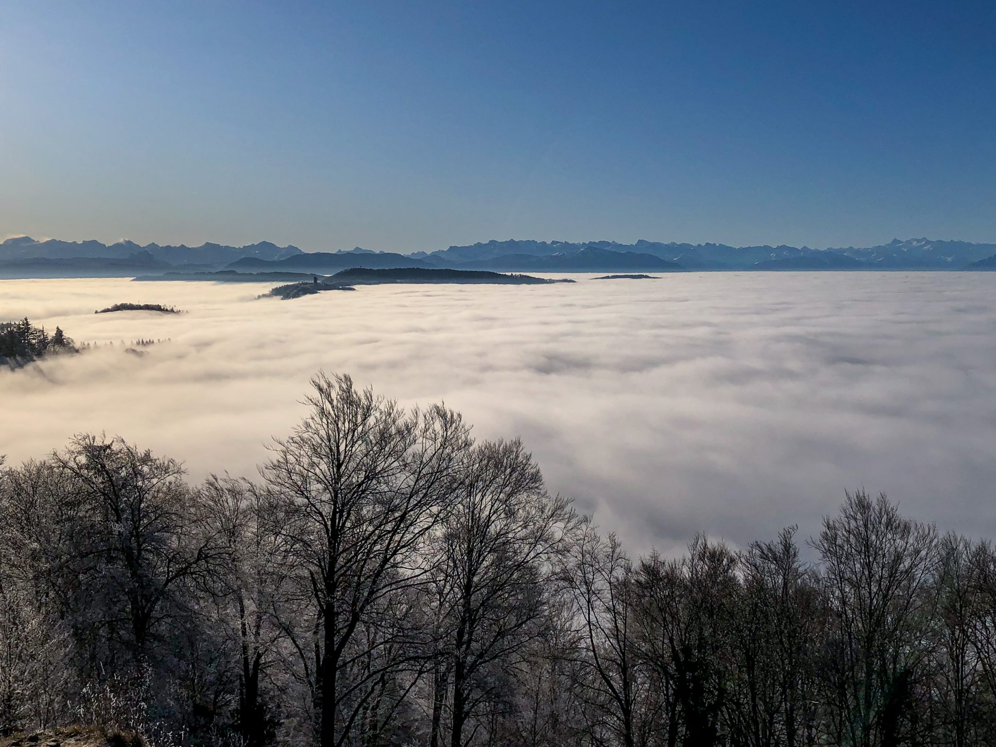 Sea of fog (view from Üetliberg, Zurich, towards the Swiss Alps)