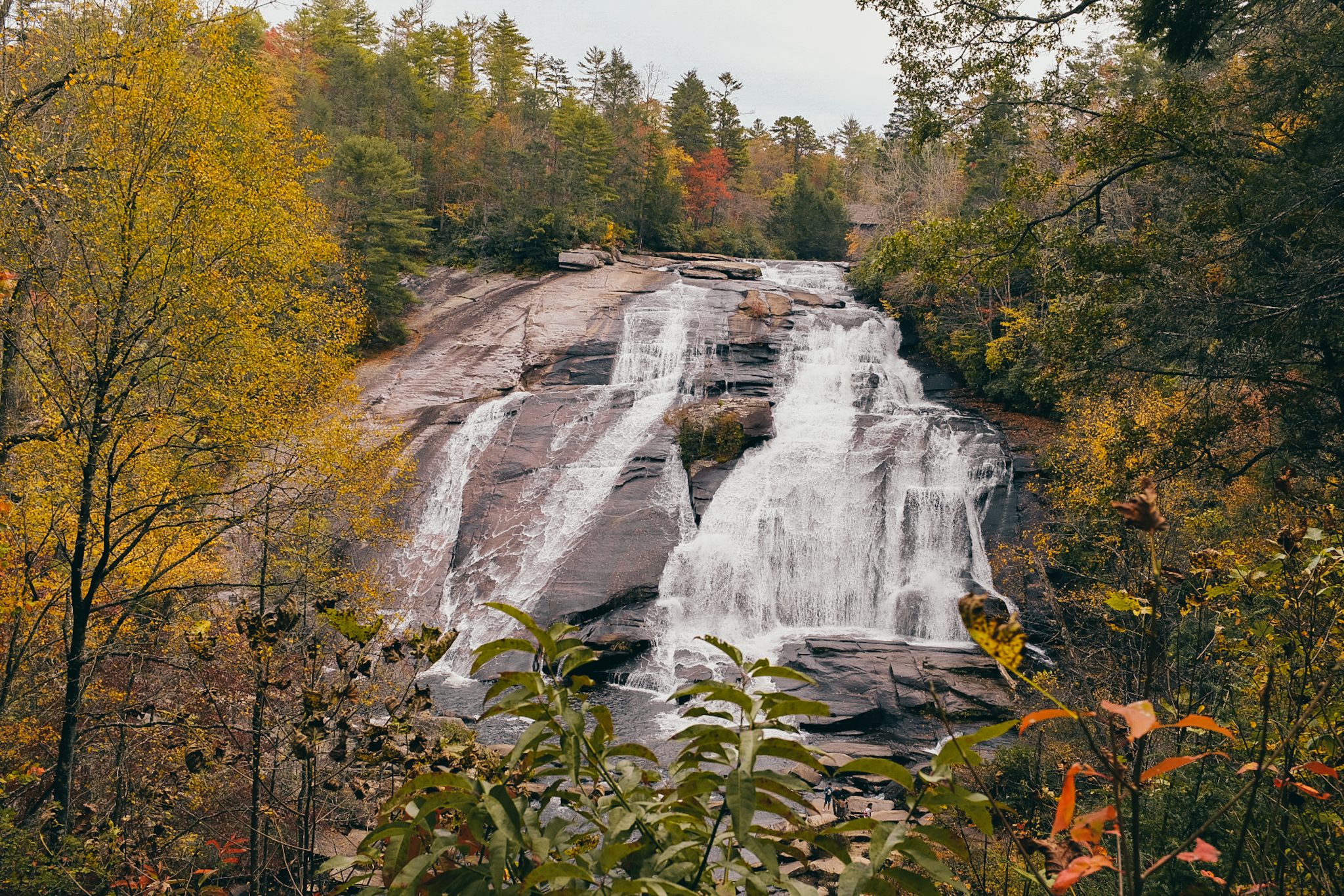Fall leaves surrounding a waterfall