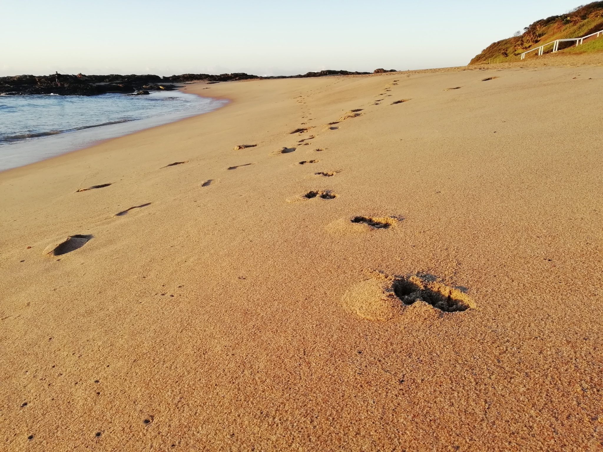 Footprints on Umtentweni Beach, South Africa