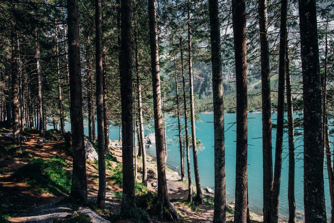 Blue Mountain Lake Through Trees