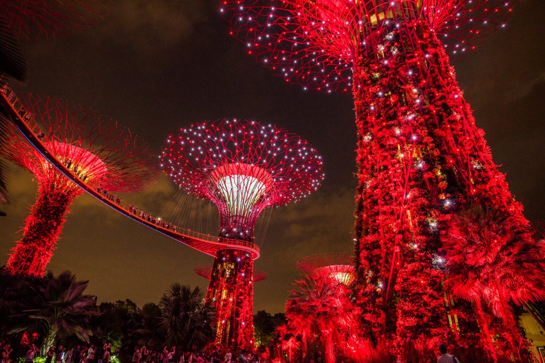 Singapore Garden Lights