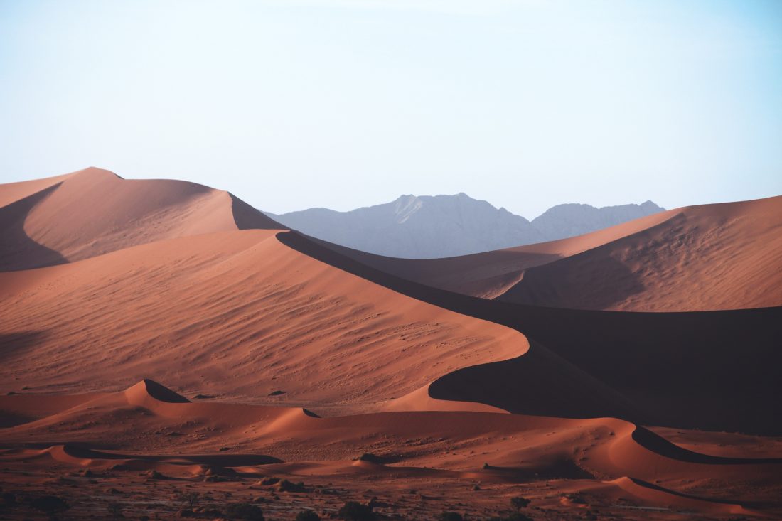 Sand Dunes in Desert