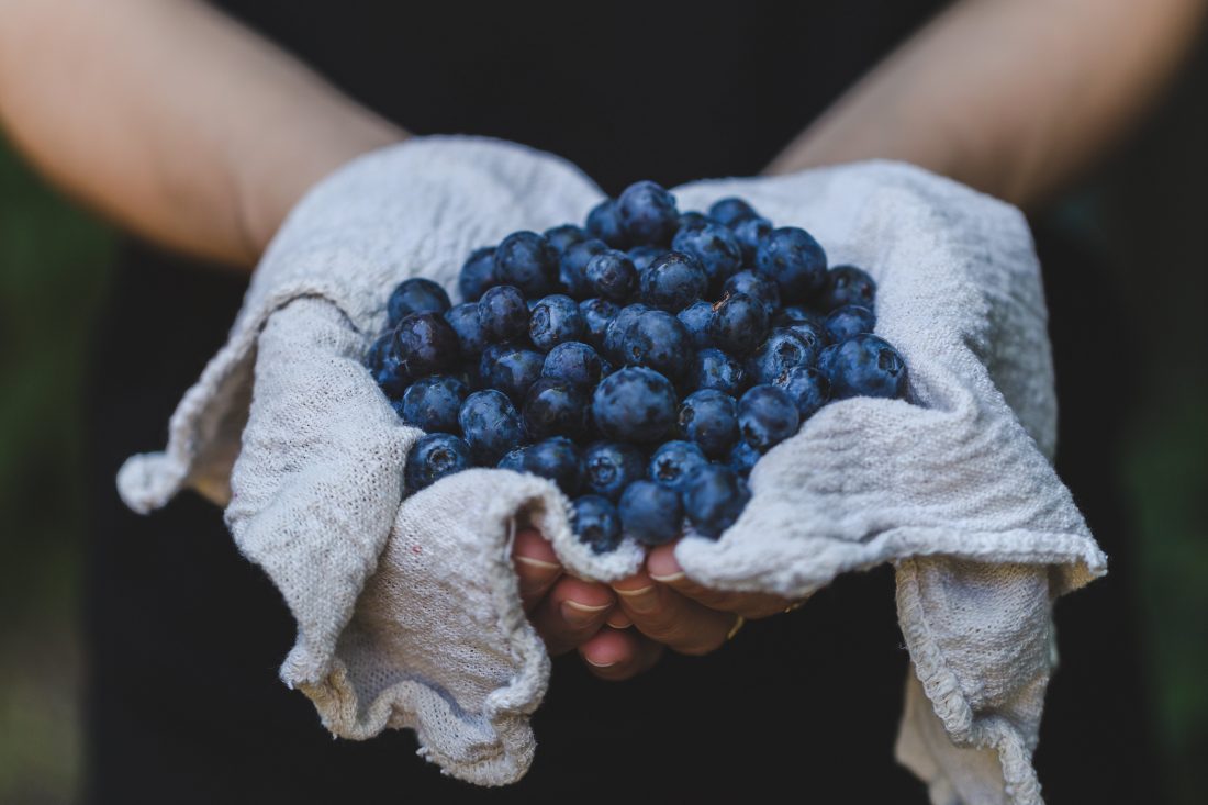 Blueberries in Hands