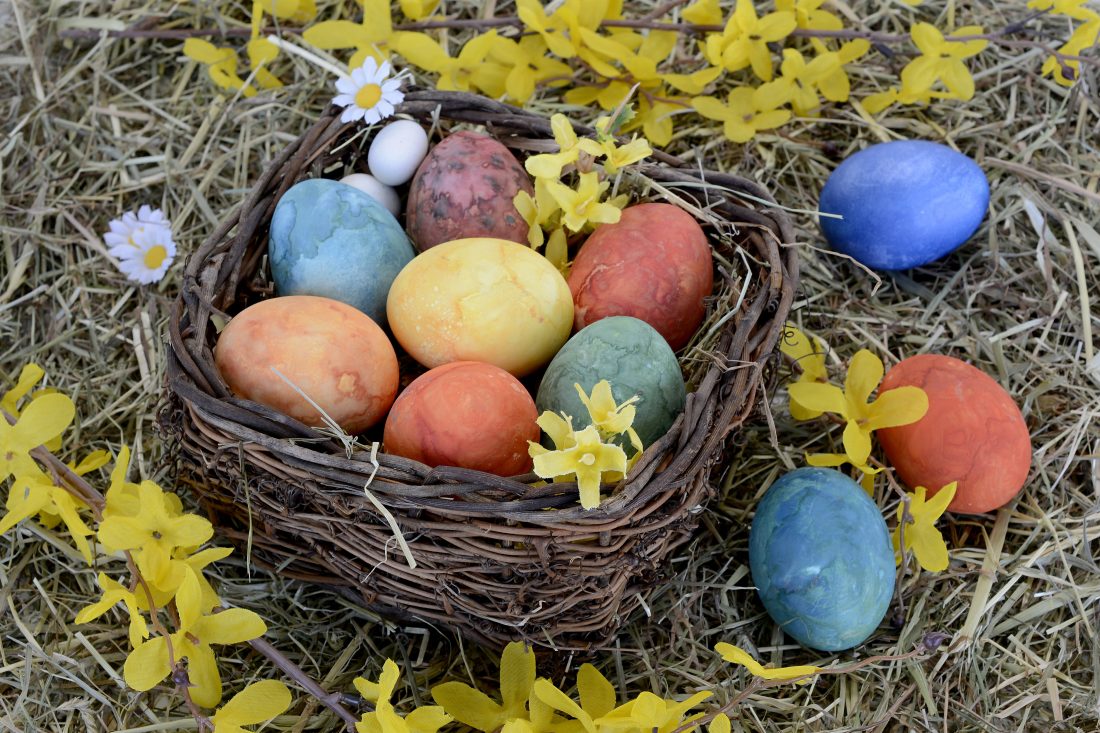 Easter Eggs Nest