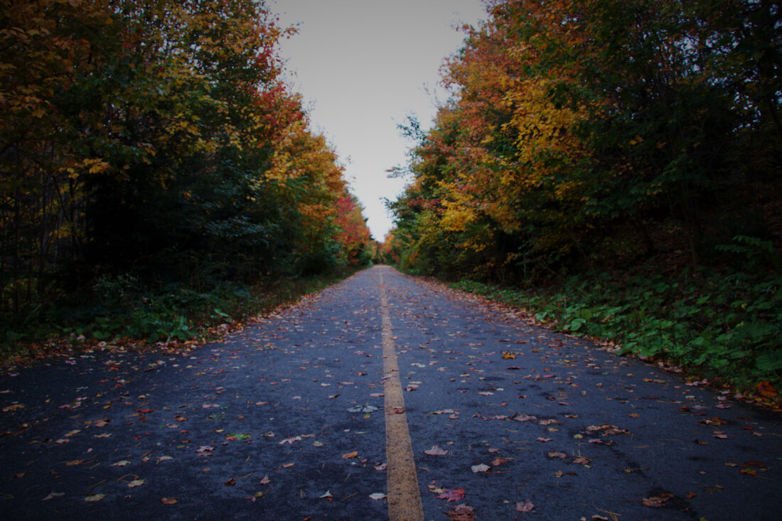 Road Autumn Fall
