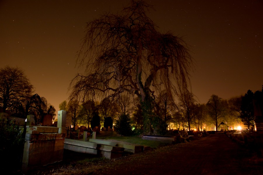 Midnight graveyard