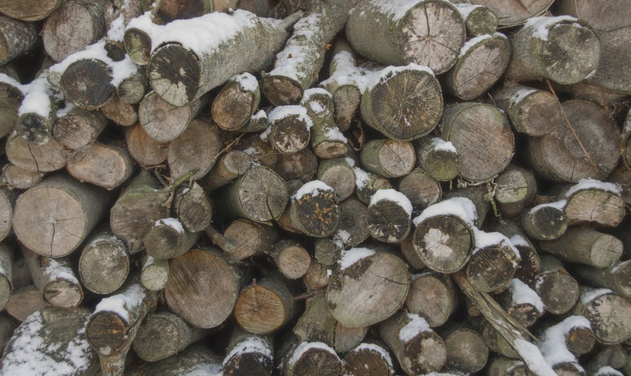 Logs in the winter