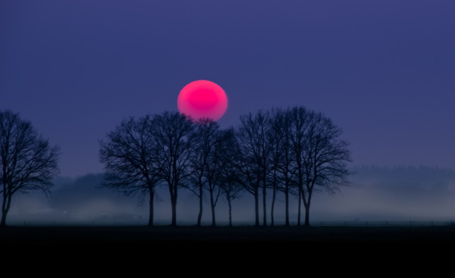 Red sun and fog