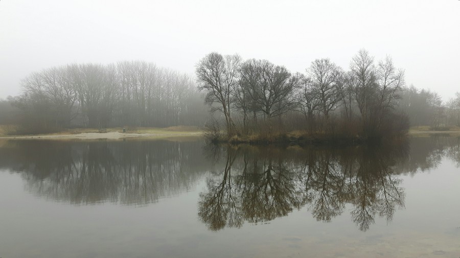 Mist lake