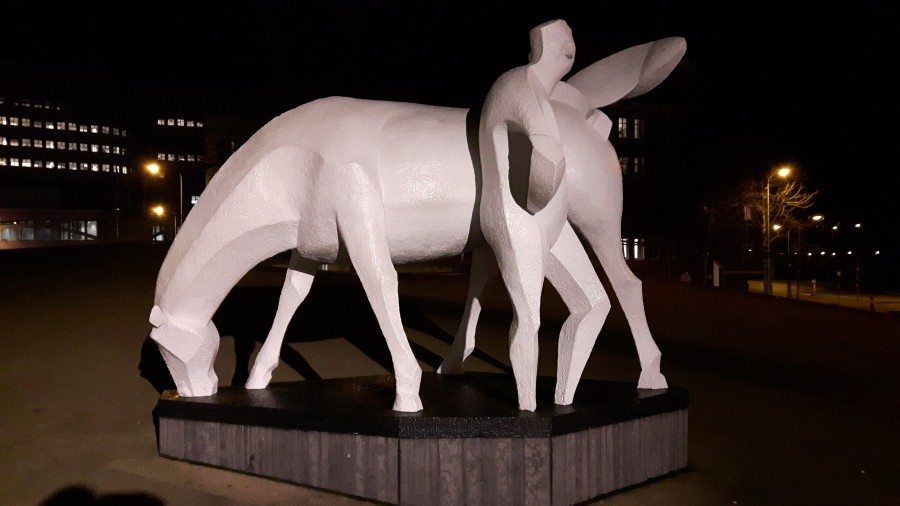 White horst by night