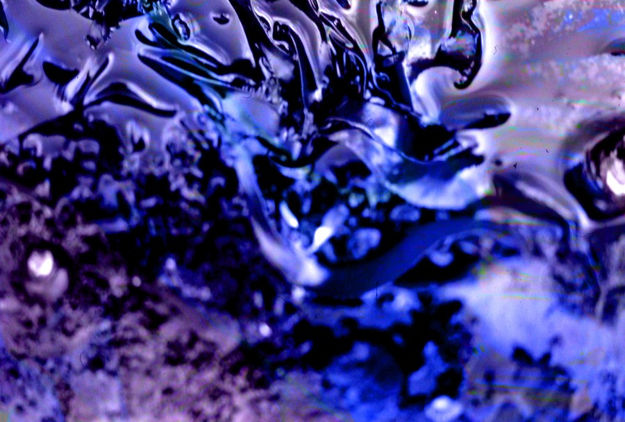 blue-purple seaweed texture
