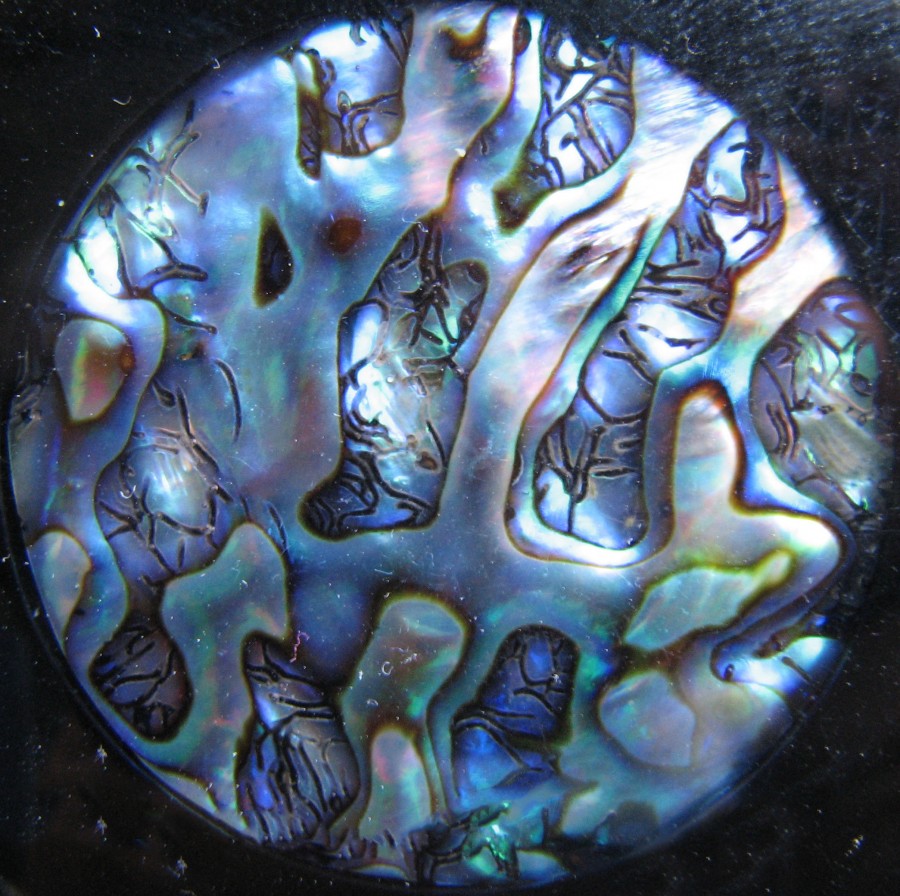 abalone pendant closeup