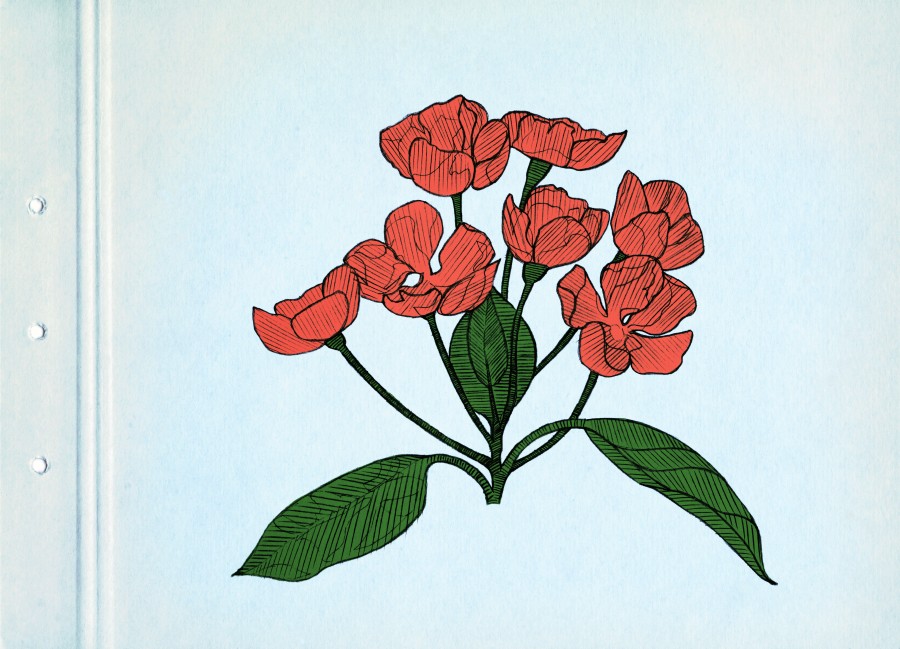 Red spring flowers. Drawing on blue cardboard. Vintage picture.
