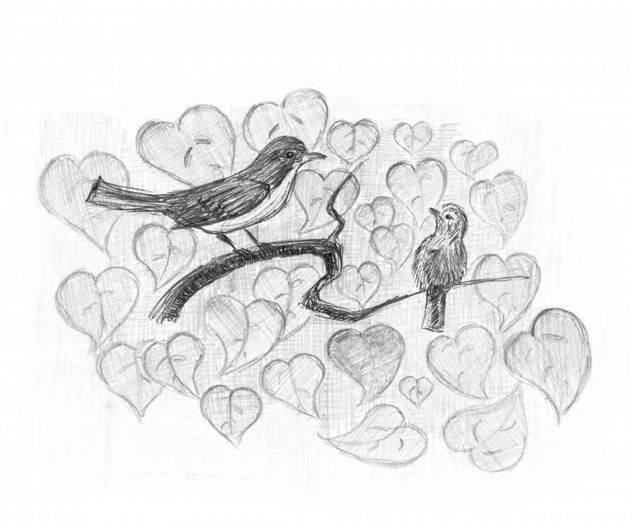 Redstart with nestling. Birds on a branch. Pencil sketch.