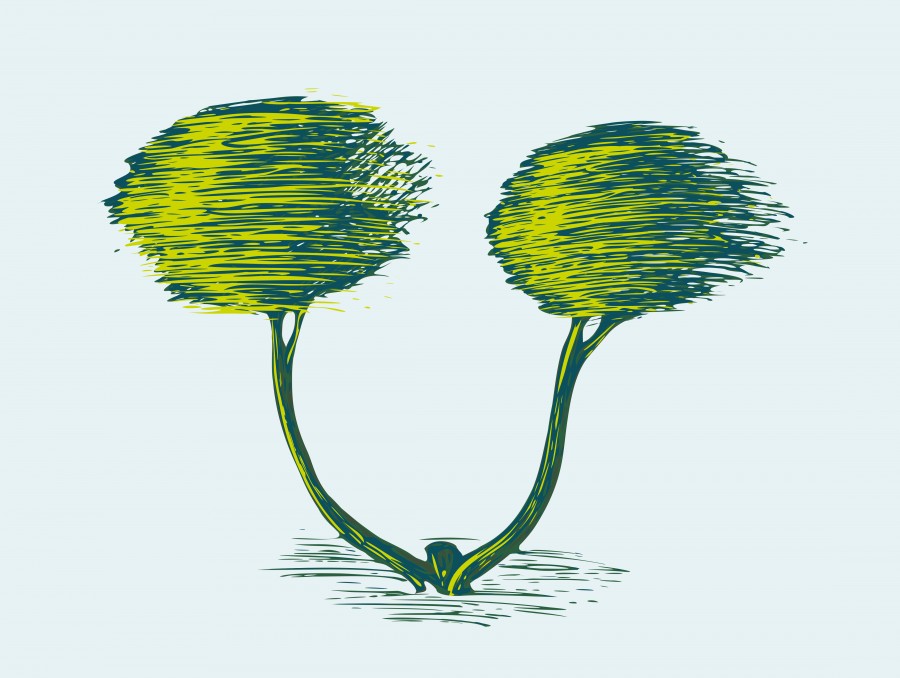 Bright painted trees. Vector stylized image. Freehand drawn picture. Green, blue and yellow colors.