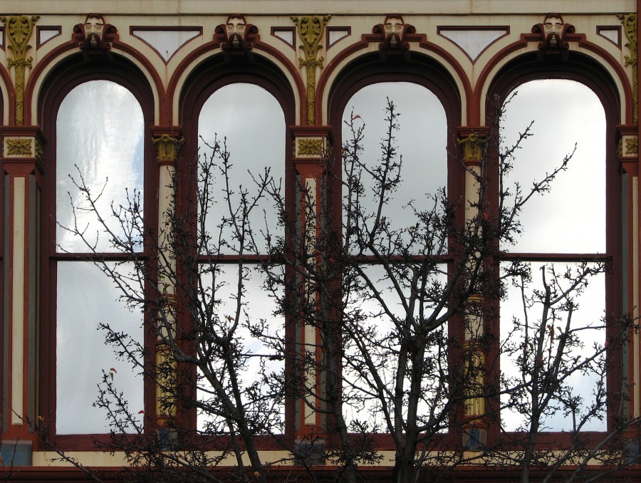 arched windows with tree