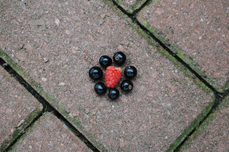 Raspberry and blackberries