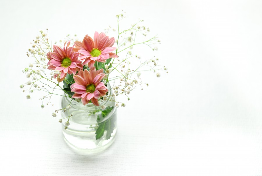 flowers on a vase