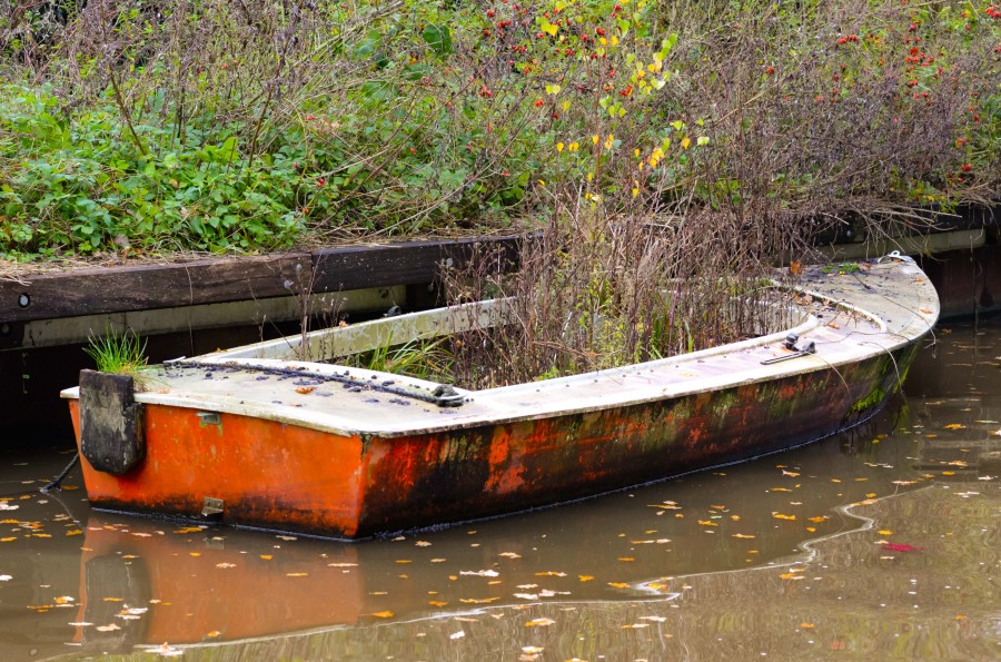Overgrown boat