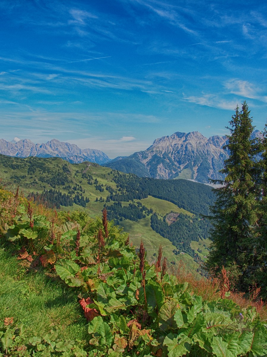 Austrian Mountains in Summer