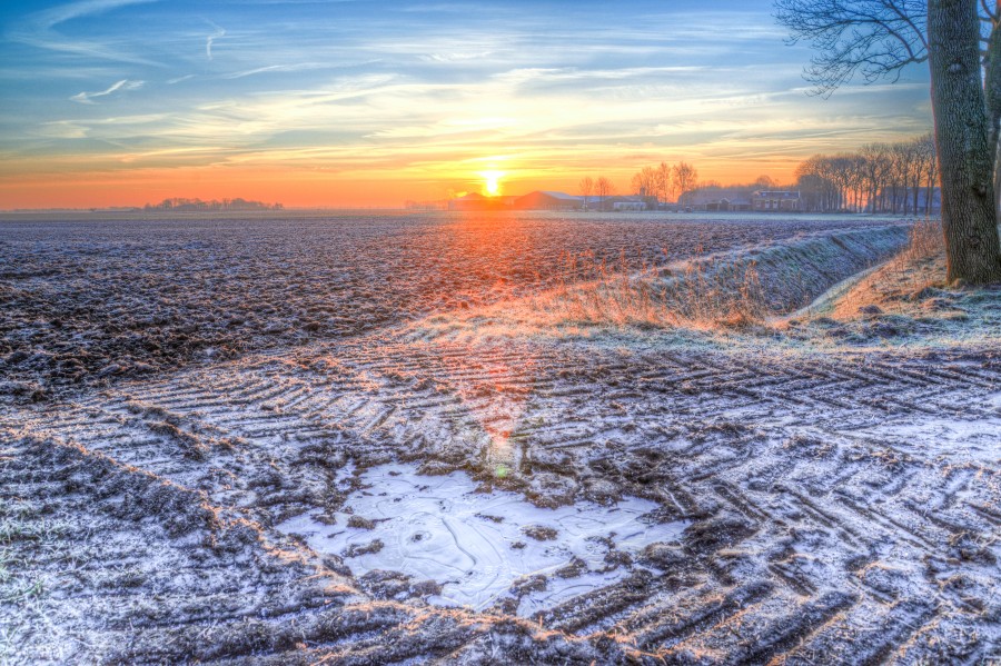 Cold sunrise at a field